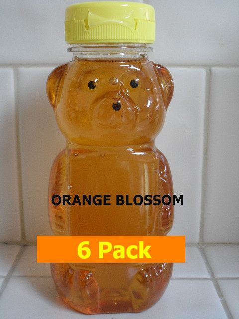 SAVE ALMOST 20% - 6pk Orange Blossom Honey 6 x 12oz btls.